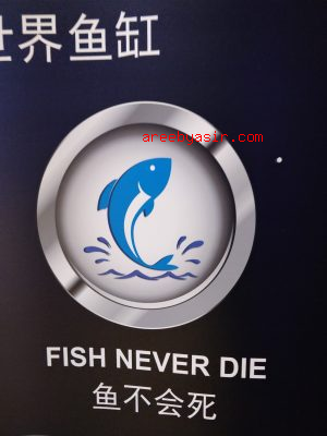 Fish never die? True or false